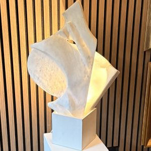 501. Pantović Miodrag - Letači