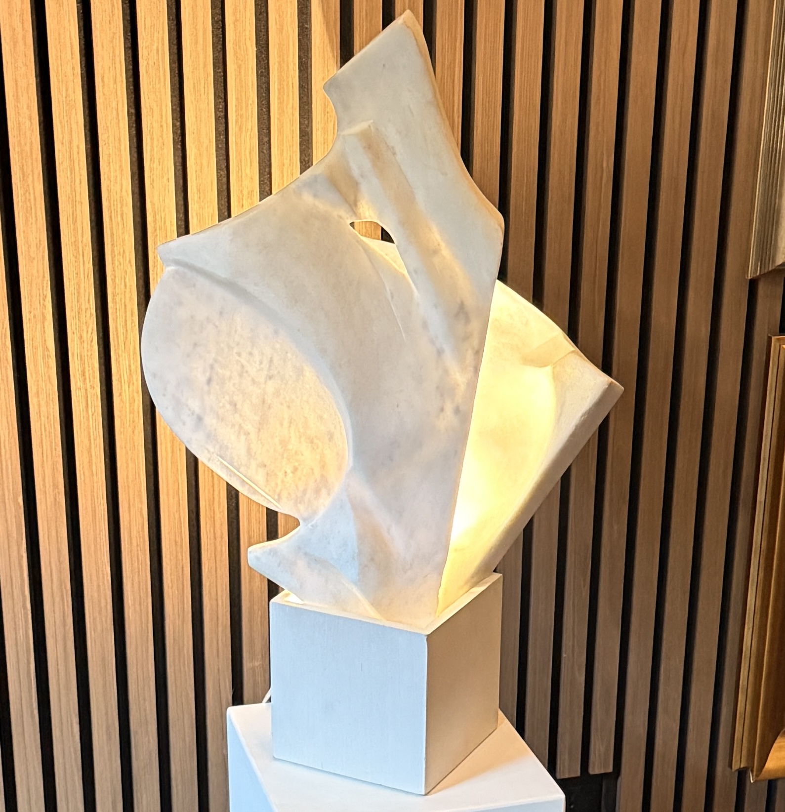 501. Pantović Miodrag - Letači